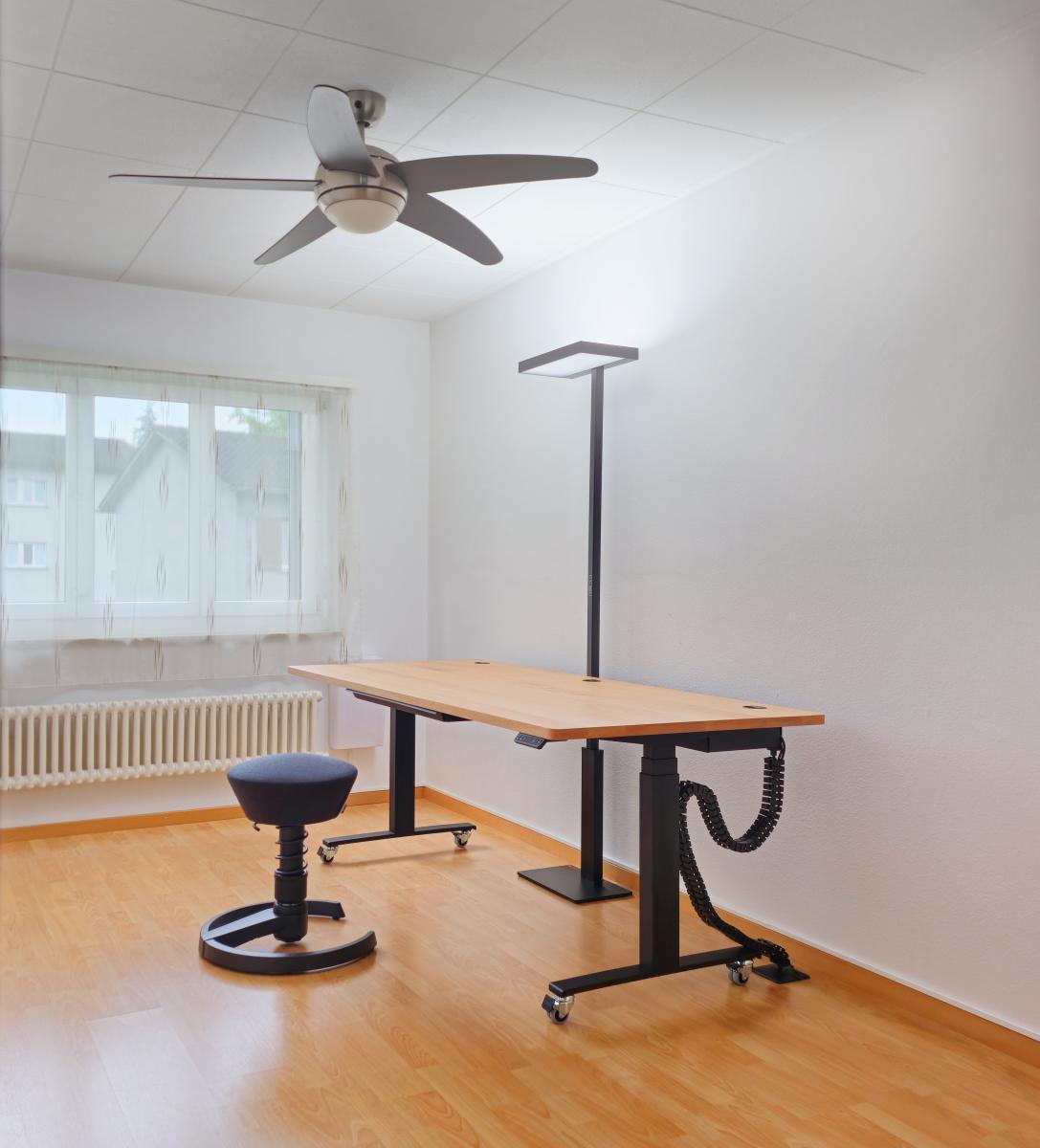 Tischplatte Massivholz aus Schweizer Buche, LED-Stehleuchte mit Tunable White, Aeris Swopper