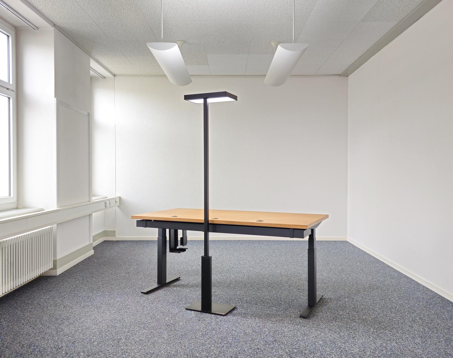 Elektrisch höhenverstellbarer Schreibtisch mit Tischplatte in Massivholz aus Schweizer Eiche und einer LED Stehleuchte Tunable White